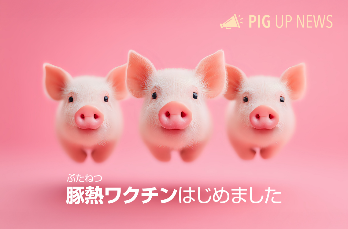 豚熱ワクチンはじめました
